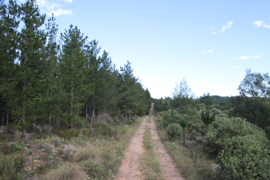 0 Bedroom Property for Sale in Plettenberg Bay Rural Western Cape